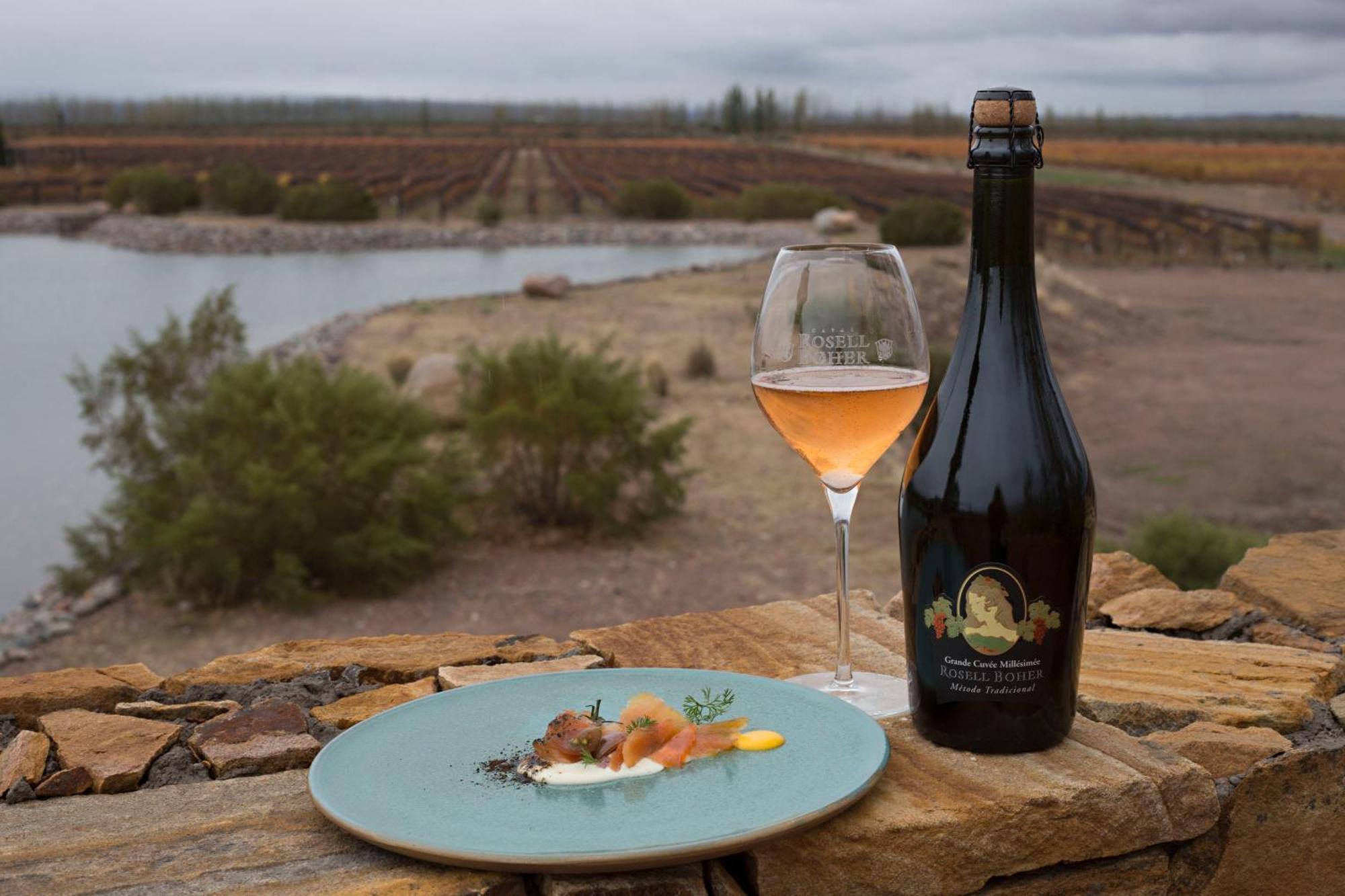 Rosell Boher Winery Lodge & Spa Agrelo エクステリア 写真