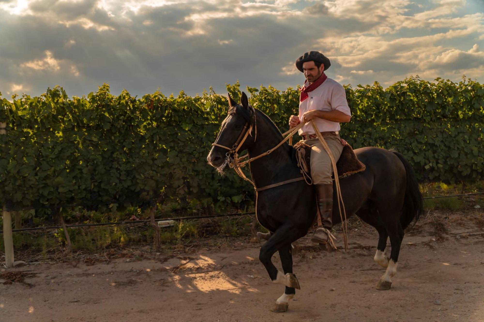 Rosell Boher Winery Lodge & Spa Agrelo エクステリア 写真