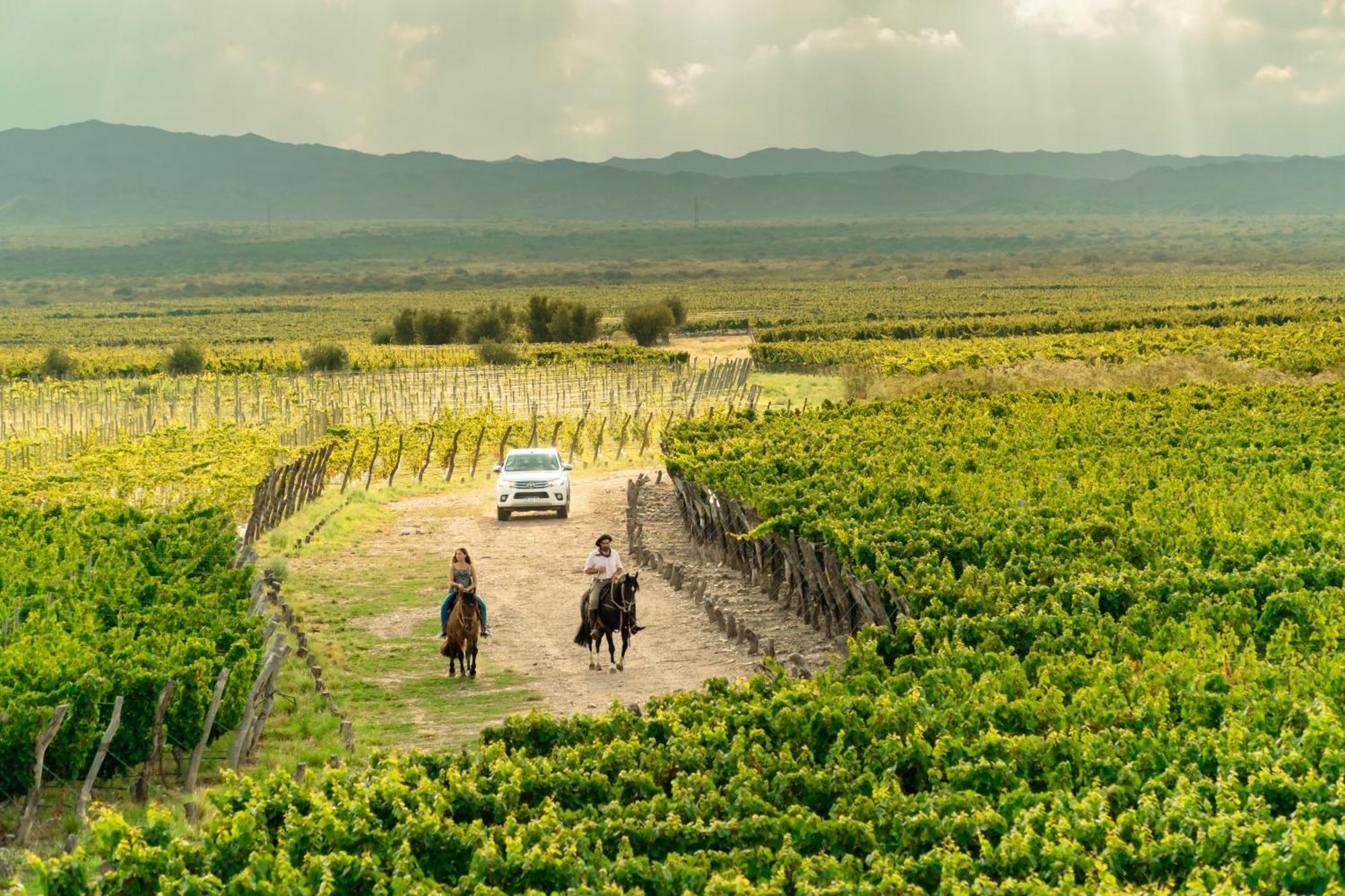 Rosell Boher Winery Lodge & Spa Agrelo エクステリア 写真