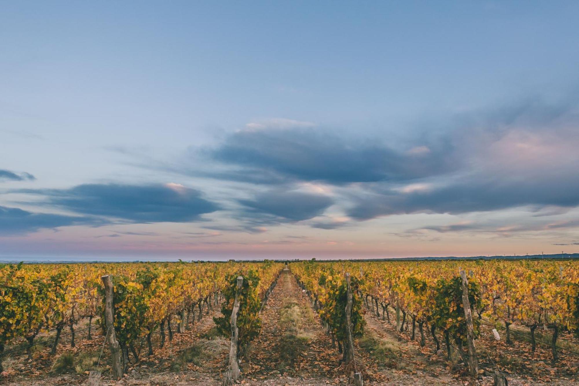 Rosell Boher Winery Lodge & Spa Agrelo エクステリア 写真