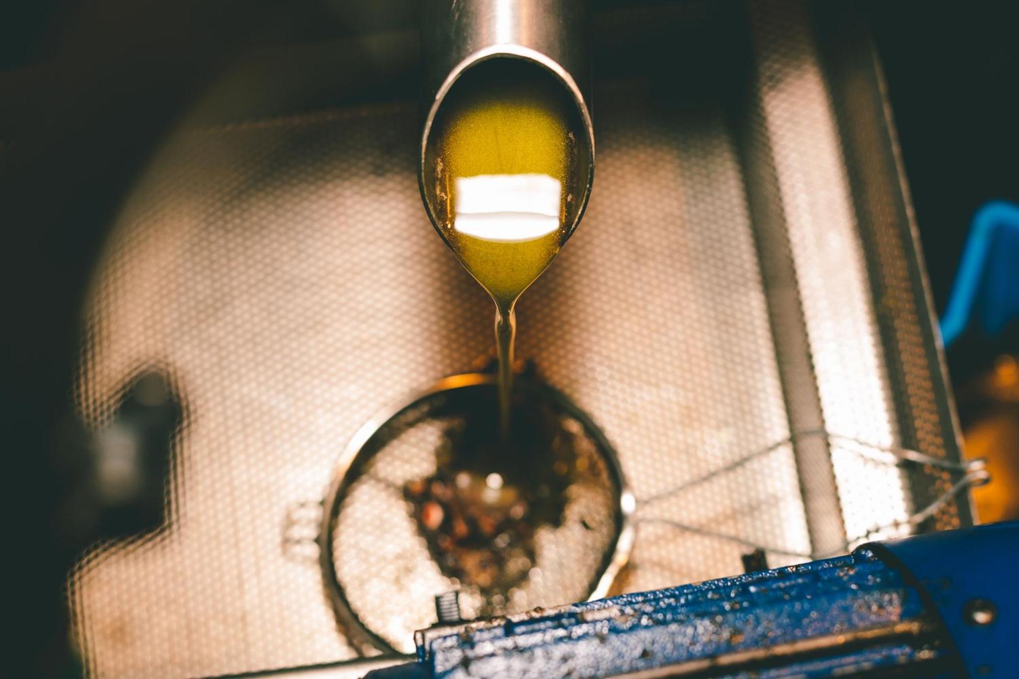 Rosell Boher Winery Lodge & Spa Agrelo エクステリア 写真