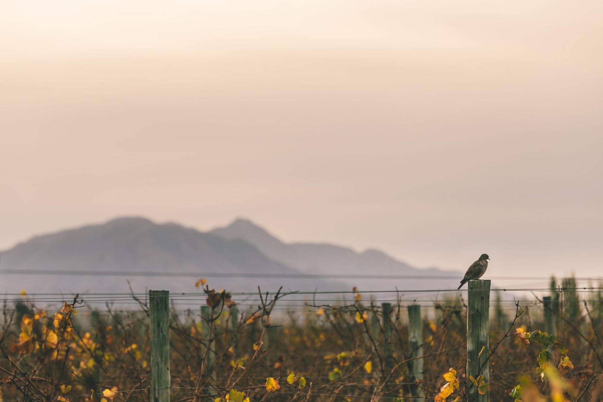 Rosell Boher Winery Lodge & Spa Agrelo エクステリア 写真