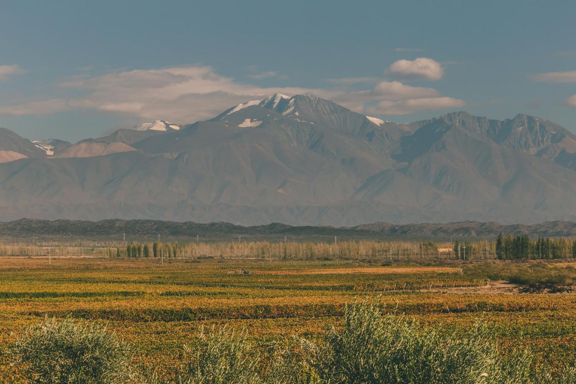 Rosell Boher Winery Lodge & Spa Agrelo エクステリア 写真